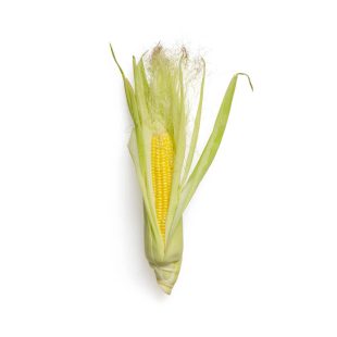 Organic Corn Bio 1